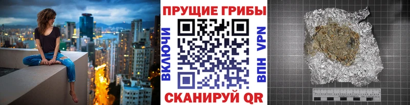 Псилоцибиновые грибы Psilocybe  hydra рабочий сайт  Бузулук 